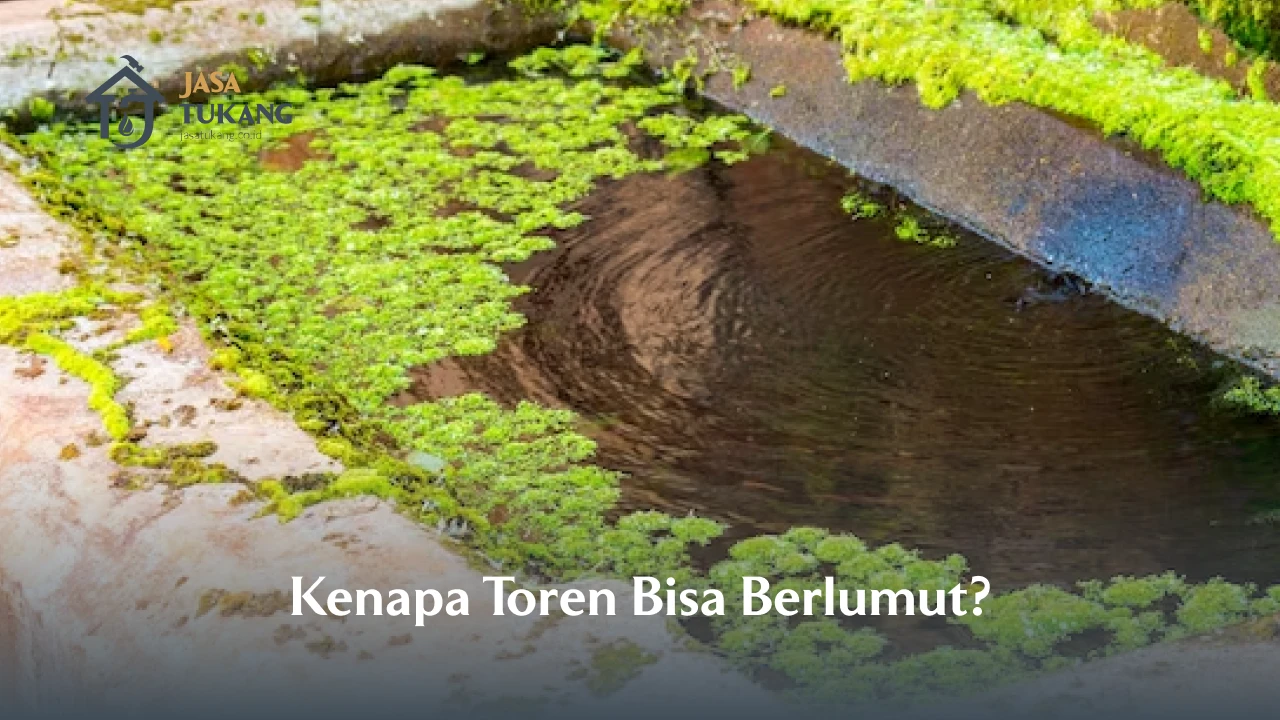 Kenapa Toren Bisa Berlumut 