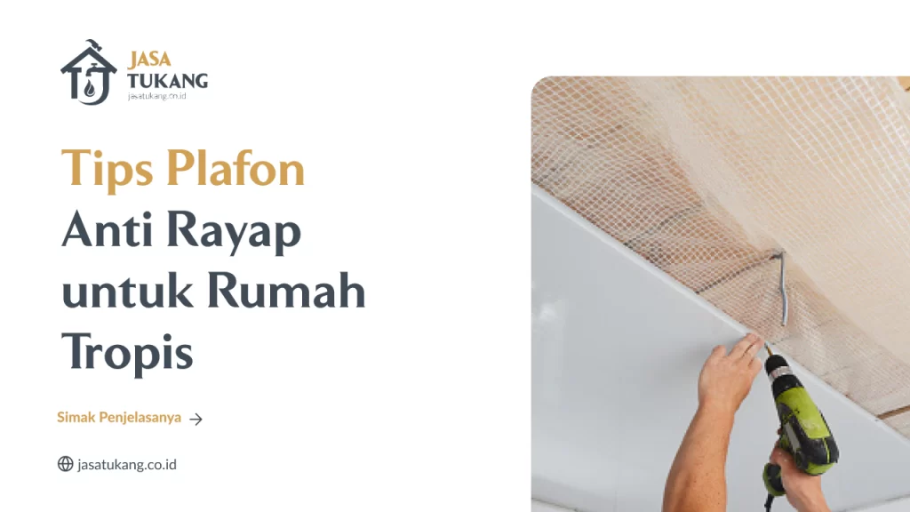 Tips Plafon Anti Rayap untuk Rumah Tropis