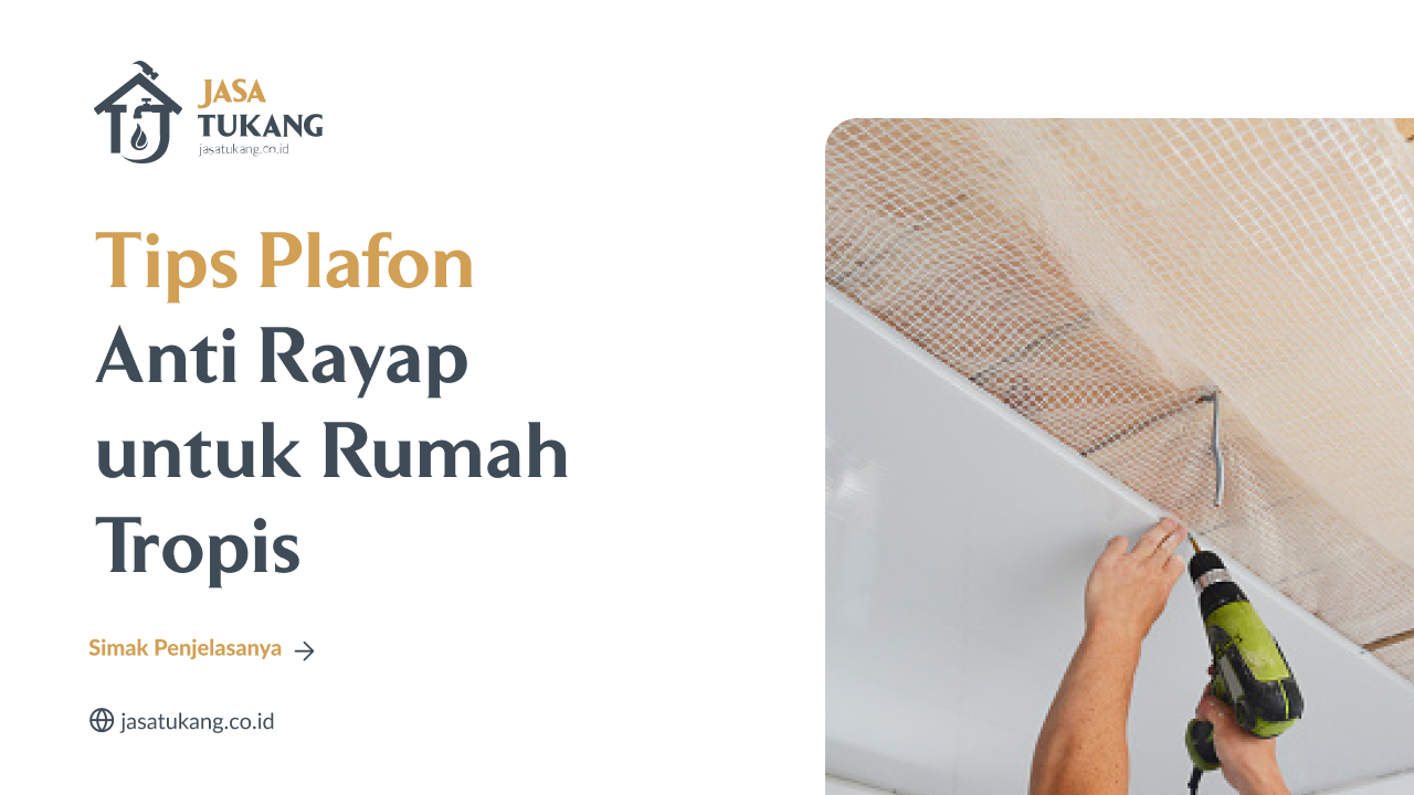 Tips Plafon Anti Rayap untuk Rumah Tropis - Jasa Tukang