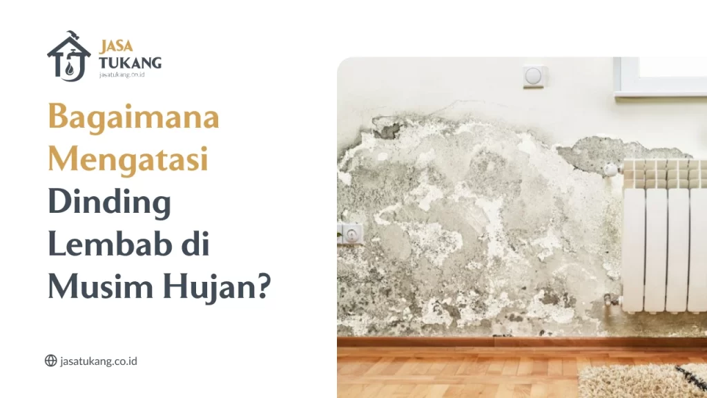Bagaimana Mengatasi Dinding Lembab di Musim Hujan