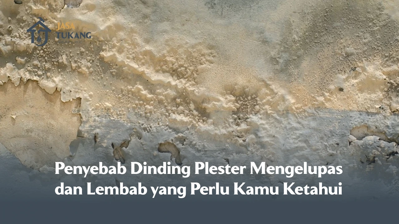 Penyebab Dinding Plester Mengelupas dan Lembab yang Perlu Kamu Ketahui