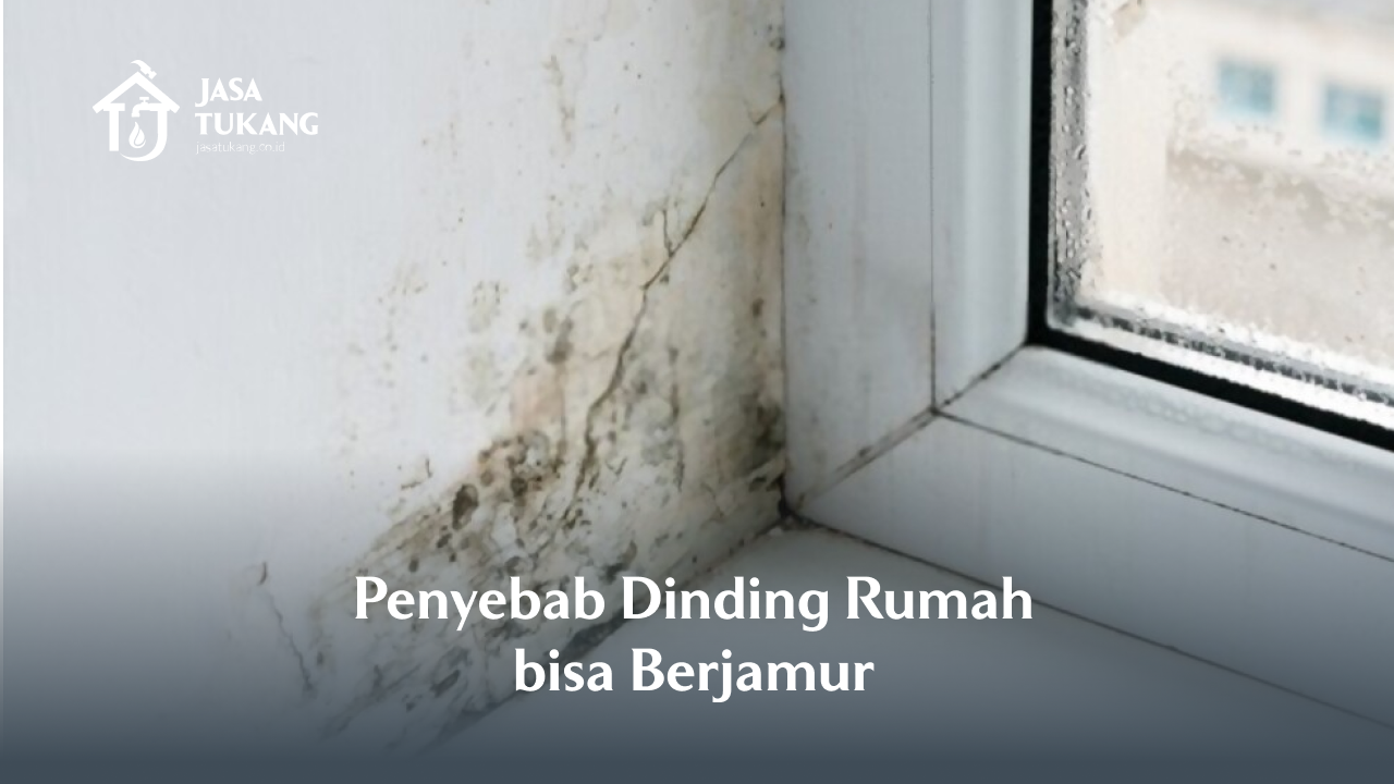 1. Penyebab Dinding Rumah bisa Berjamur