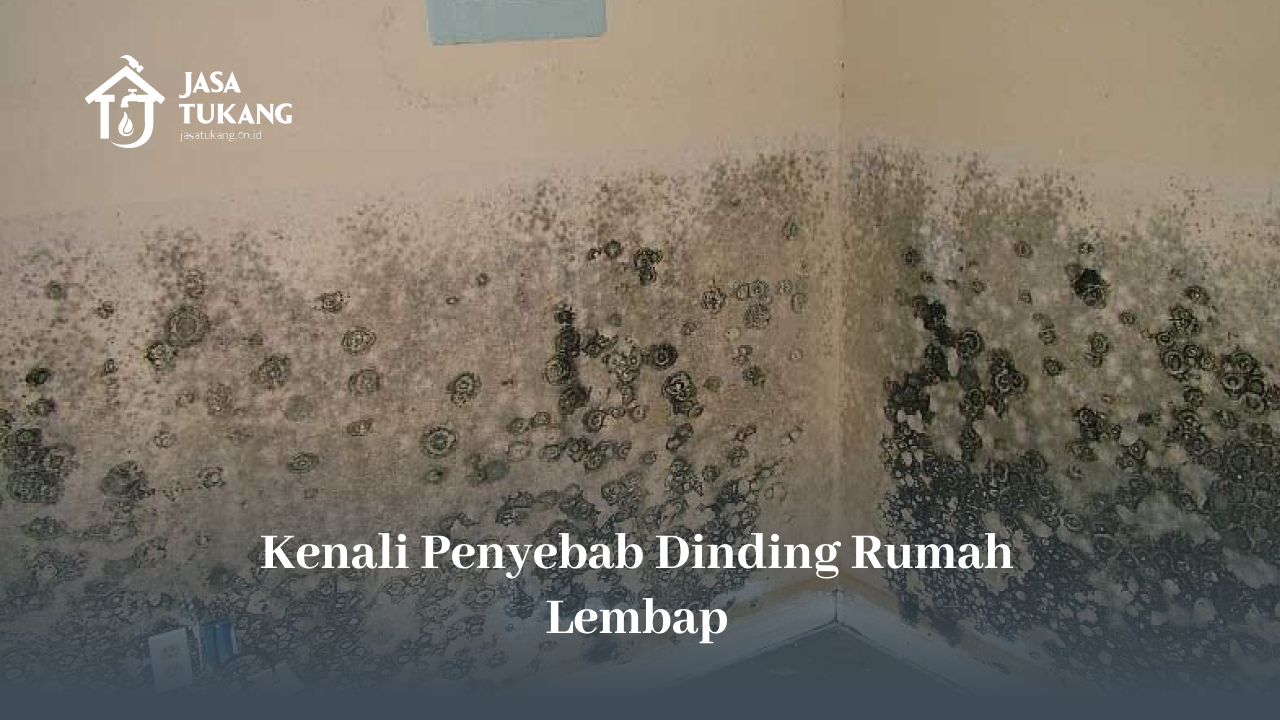 Kenali Penyebab Dinding Rumah Lembap