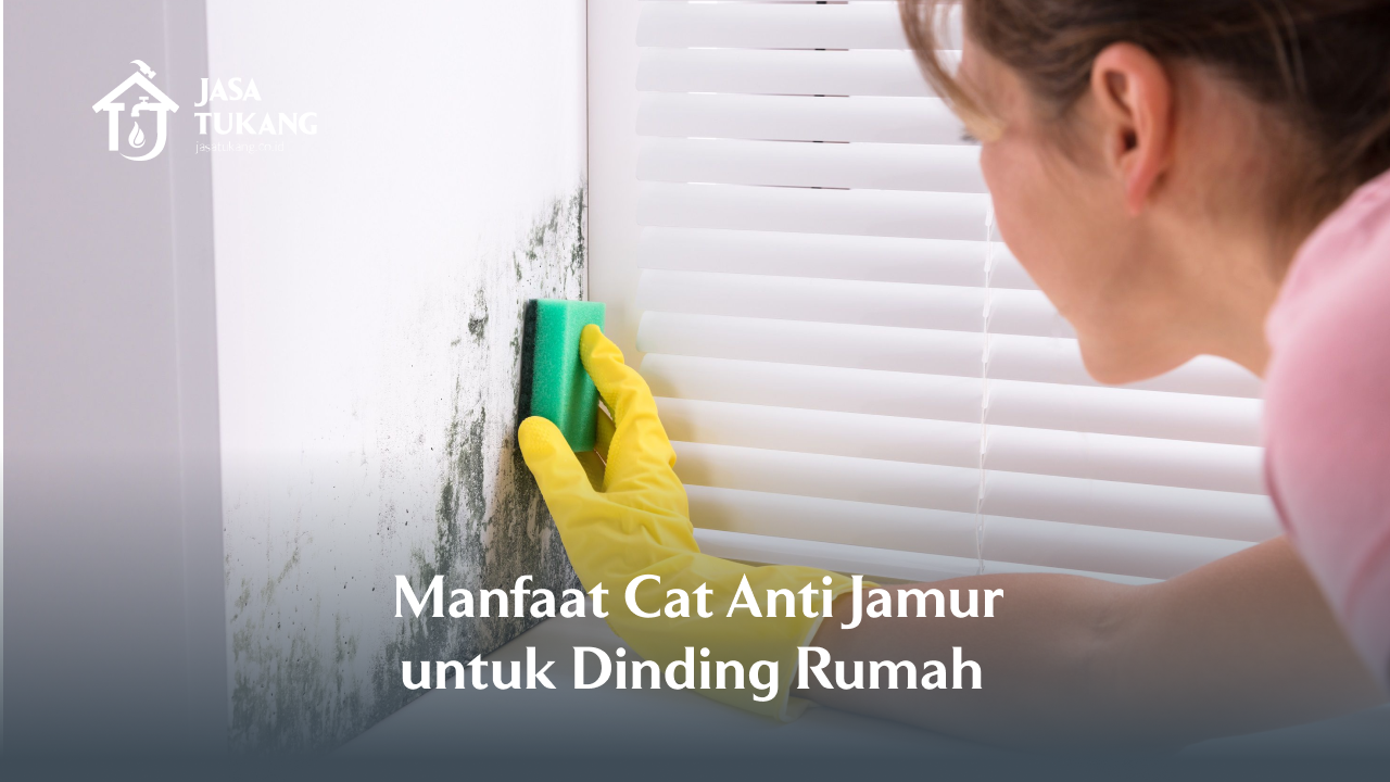 _manfaat_cat_anti_jamur_untuk_dinding_rumah