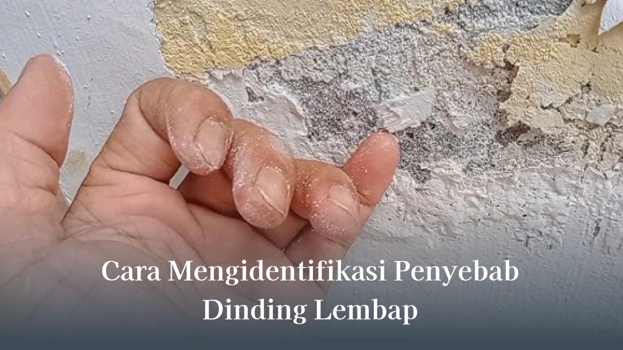 Cara Mengidentifikasi Penyebab Dinding Lembap